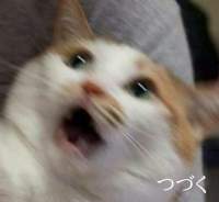 75579 B