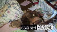 55542 B