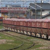 498526 B