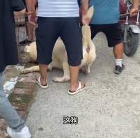 297914 B