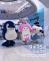 1130646 B