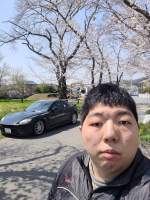 733063 B
