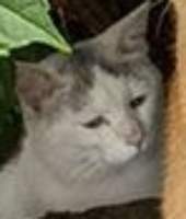 25898 B