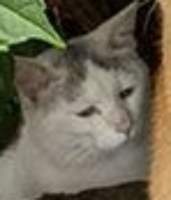 42118 B