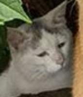 49294 B