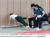 小ネタ韓国の警察採用試験から消える腕立て伏せ、男性志願者から不満相次ぐ 来年からは男女同一の体力試験 点数制から合否制に 体力で高得点獲得は至難の業」と不満朝鮮日報https://www.chosunonline.com/site/data/html_dir/2025/05/26/2025052680023.html膝つき腕立てから通常の腕立て伏せに変更された女性警察官の