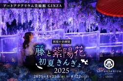 732422 B