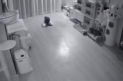 973381 B