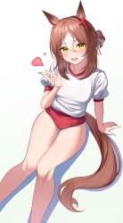 87487 B