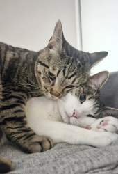 185261 B