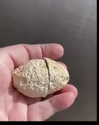 2118370 B