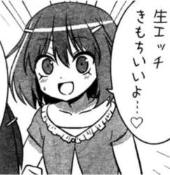 40486 B