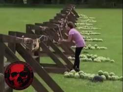 2594374 B