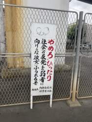 607061 B