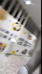 3070488 B