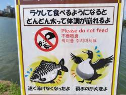 535880 B