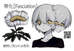 322088 B