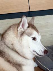 279512 B