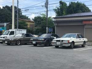 273294 B