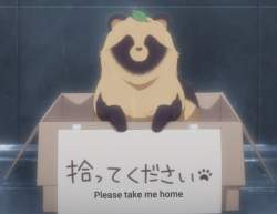 88259 B