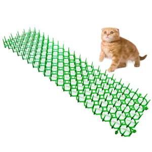 55584 B