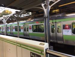 445903 B