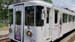 229142 B
