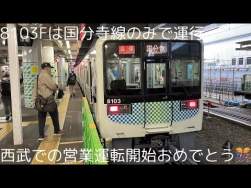 49983 B