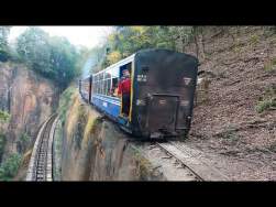 49755 B