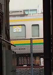 83808 B