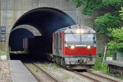 803024 B