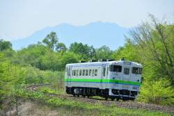 92043 B