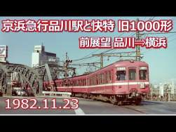 49826 B