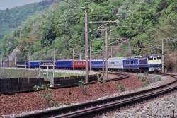 262411 B