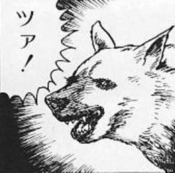 27099 B