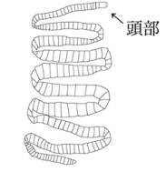 62883 B