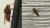 玄関の前に画像のハチ？が巣を作っているようでどうしたものか…・巣は地面の上に直径10cmくらいの灰色の泥の塊　出入口は真上からは見えない・その巣の周りに2～3匹飛ばずに待機している　近づくと飛んでくる・止まっている時は翅を重ねているので一般的なイメージのハチっぽくない（画像右）ドロバチはもっと黒っぽいは