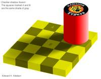 85858 B