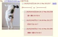 71194 B