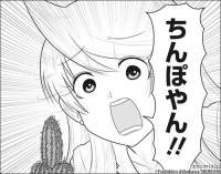 77492 B