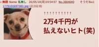 171217 B