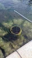 44542 B