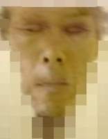 24964 B