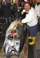 42919 B