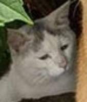 21583 B