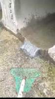 2439731 B