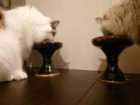 12157 B