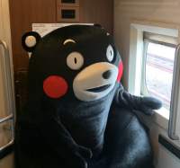 156333 B