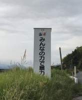 227018 B