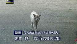 113777 B